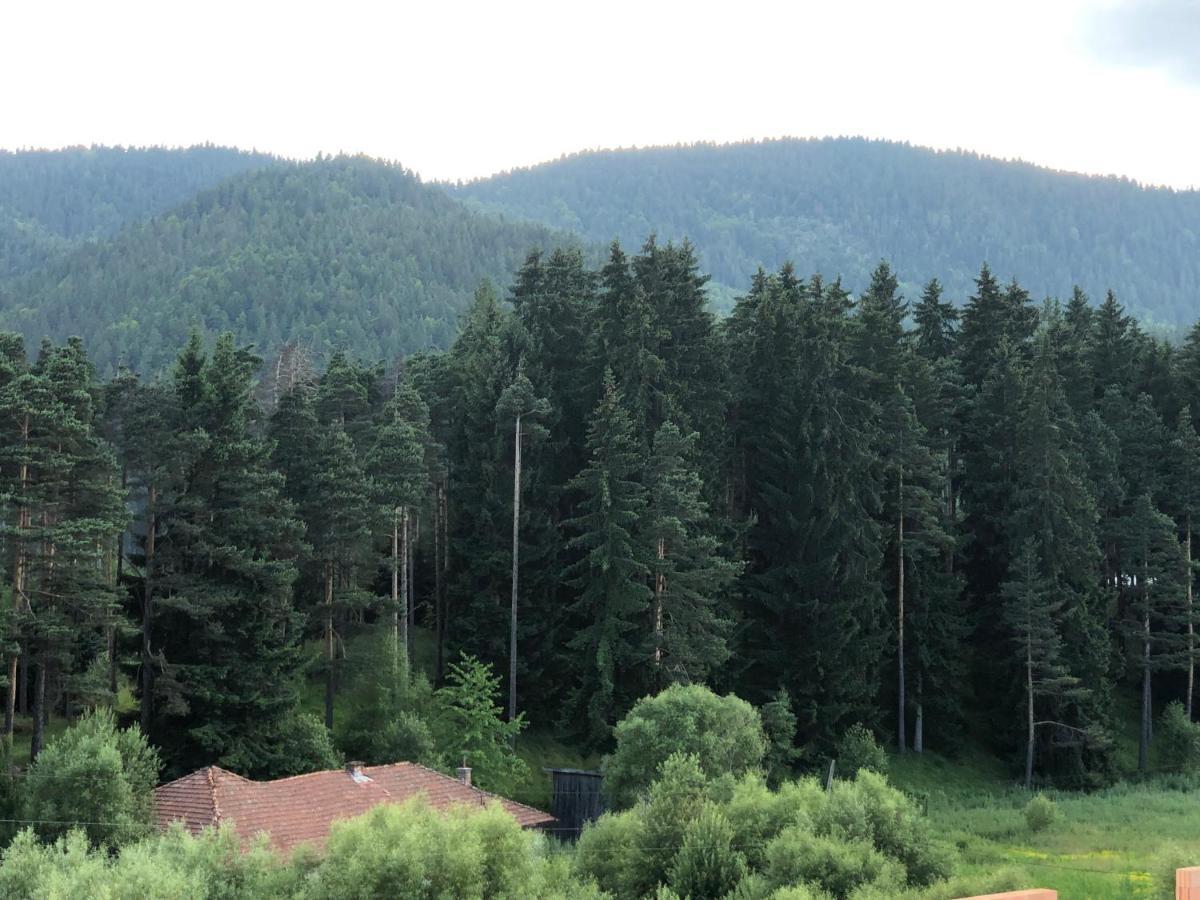 Family Hotel Panorama Sarnica Exteriér fotografie